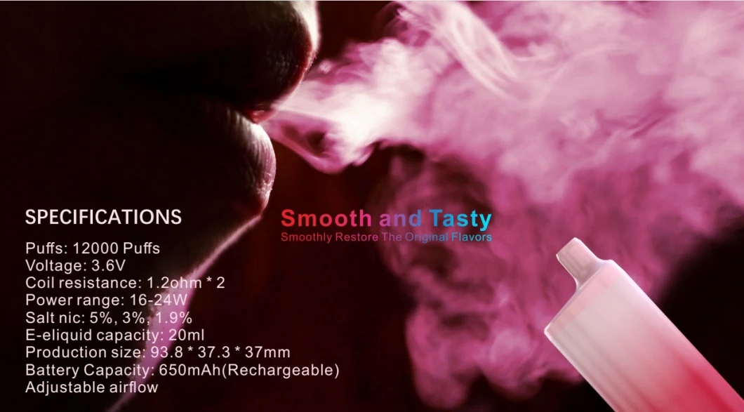 Wholesale Price Factory Ship Directly 12000puffs Disposable Electronic Cigarette Wholesale Disposable Vape